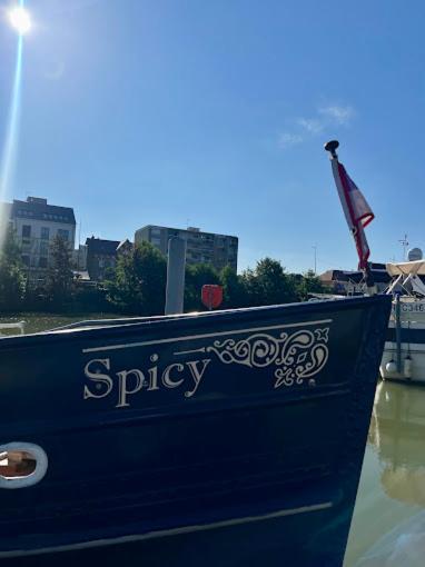 Spicy - Sejour Insolite Sur La Marne Meaux Bagian luar foto
